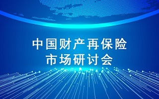 中国财产再保险市场研讨会