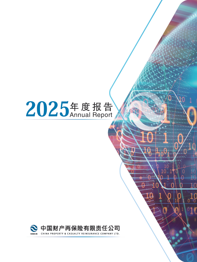 公司2025年度报告